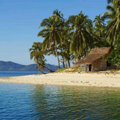 im电竞官方网站手机app下载截图